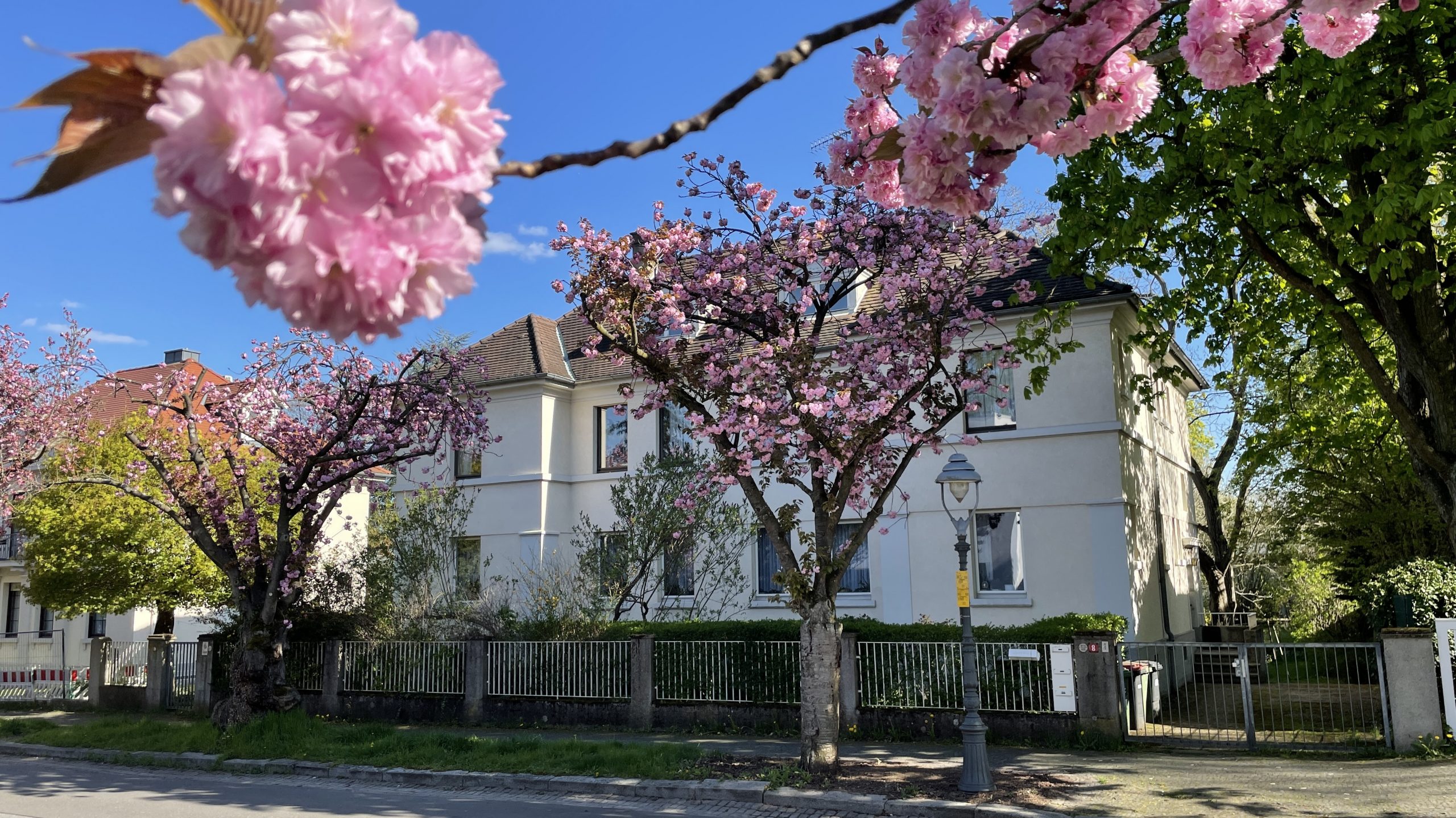 Ansicht des Jahrhunderthauses in Mainz